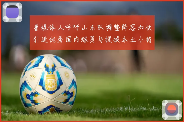 鲁媒体人呼吁山东队调整阵容加快引进优秀国内球员与提拔本土小将