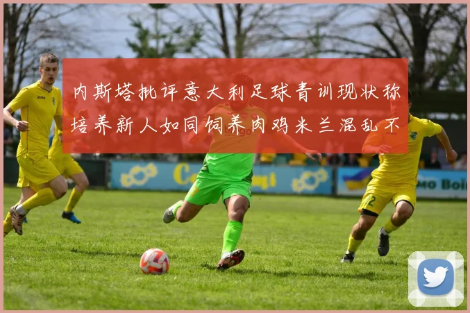 内斯塔批评意大利足球青训现状称培养新人如同饲养肉鸡米兰混乱不堪